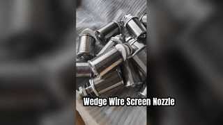 SS316L Slot 0.25mm Wedge Wire Screen Nozzle With PTFE Gasket